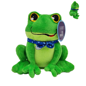 Custom Plush/Stuffed Green Frog